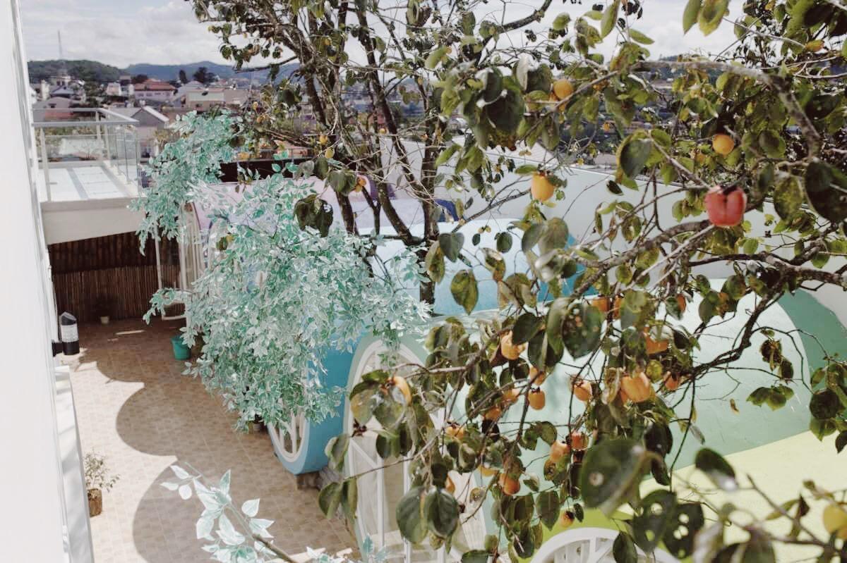 Queen Hostel Da Lat Dış mekan fotoğraf